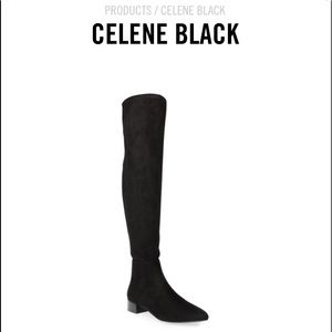 Steve Madden over the knee boots